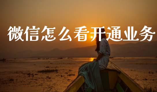 微信怎么看开通业务_https://m.kuaijiepai.net_股票交易_第1张