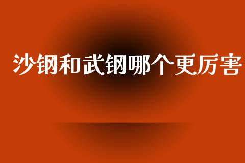 沙钢和武钢哪个更厉害_https://m.kuaijiepai.net_货币基金_第1张
