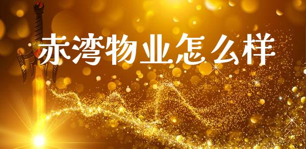 赤湾物业怎么样_https://m.kuaijiepai.net_股票交易_第1张