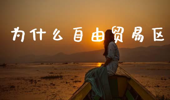 为什么自由贸易区_https://m.kuaijiepai.net_股票交易_第1张