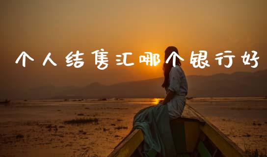 个人结售汇哪个银行好_https://m.kuaijiepai.net_债券投资_第1张
