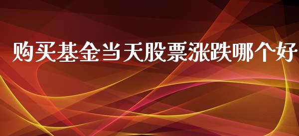 购买基金当天股票涨跌哪个好_https://m.kuaijiepai.net_债券投资_第1张