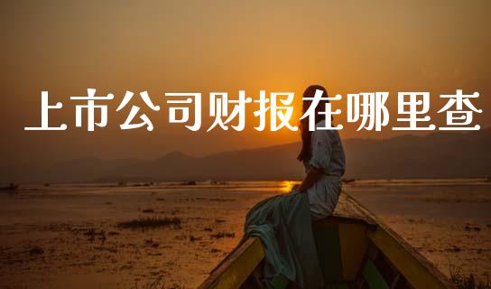 上市公司财报在哪里查_https://m.kuaijiepai.net_货币基金_第1张