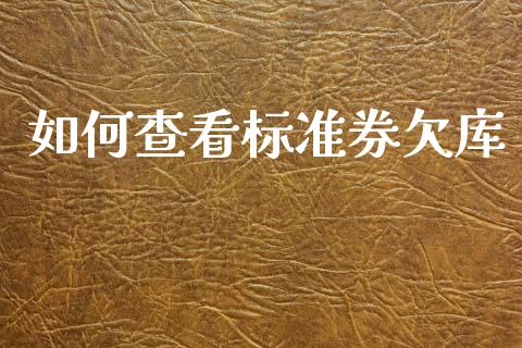 如何查看标准券欠库_https://m.kuaijiepai.net_债券投资_第1张