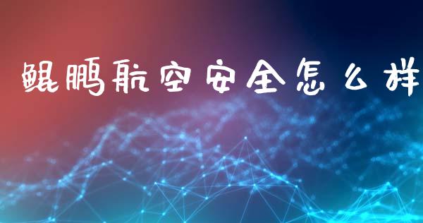 鲲鹏航空安全怎么样_https://m.kuaijiepai.net_股票交易_第1张