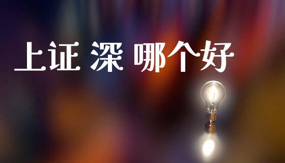 上证 深 哪个好_https://m.kuaijiepai.net_股票交易_第1张