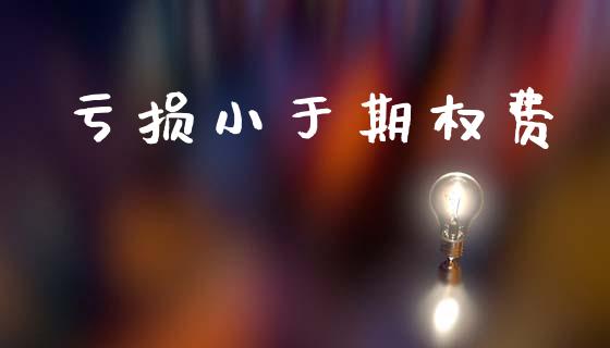 亏损小于期权费_https://m.kuaijiepai.net_债券投资_第1张