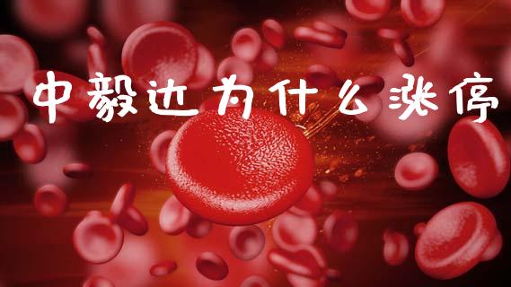 中毅达为什么涨停_https://m.kuaijiepai.net_债券投资_第1张