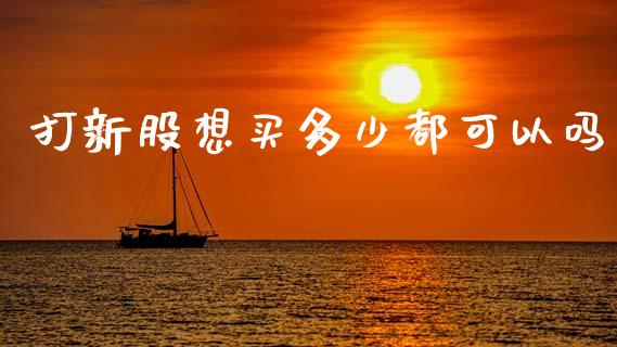 打新股想买多少都可以吗_https://m.kuaijiepai.net_债券投资_第1张