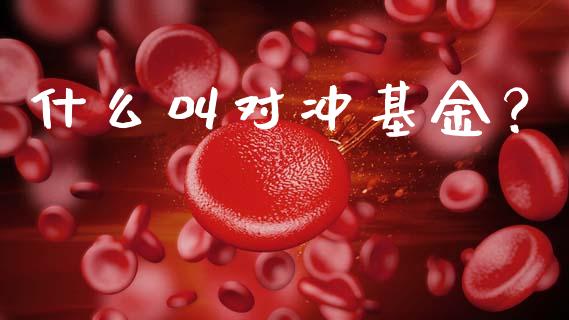 什么叫对冲基金？_https://m.kuaijiepai.net_债券投资_第1张
