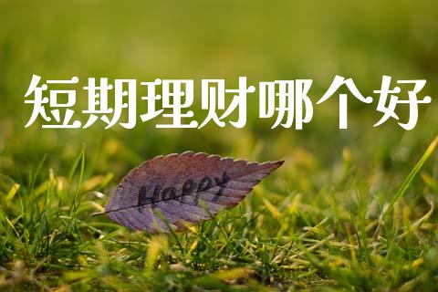 短期理财哪个好_https://m.kuaijiepai.net_资产证券化_第1张