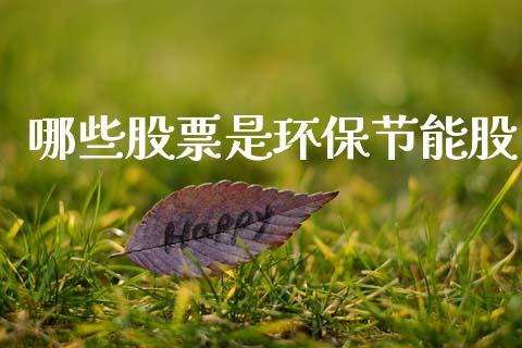 哪些股票是环保节能股_https://m.kuaijiepai.net_资产证券化_第1张