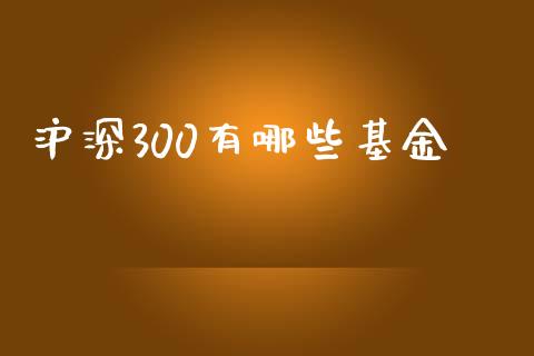 沪深300有哪些基金_https://m.kuaijiepai.net_股票交易_第1张
