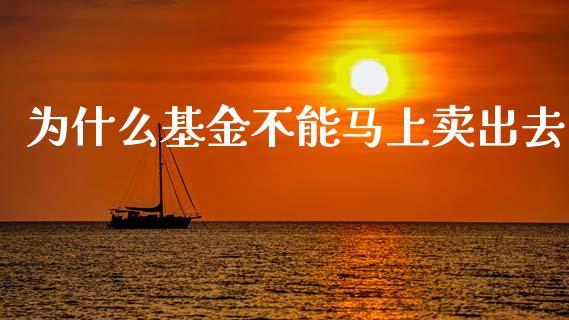 为什么基金不能马上卖出去_https://m.kuaijiepai.net_债券投资_第1张