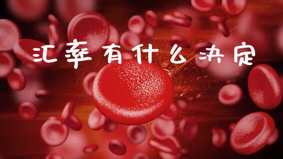 汇率有什么决定_https://m.kuaijiepai.net_资产证券化_第1张