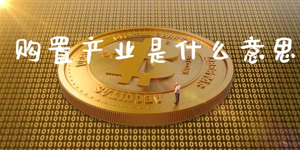 购置产业是什么意思_货币基金_第1张_货币基金_债券投资_股票交易_资产证券化 购置产业是什么意思_https://m.kuaijiepai.net_货币基金_第1张