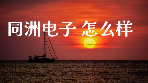 同洲电子 怎么样_https://m.kuaijiepai.net_资产证券化_第1张