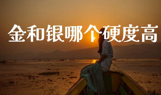 金和银哪个硬度高_https://m.kuaijiepai.net_债券投资_第1张