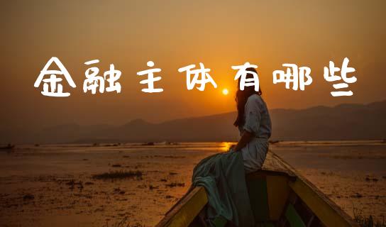 金融主体有哪些_https://m.kuaijiepai.net_债券投资_第1张