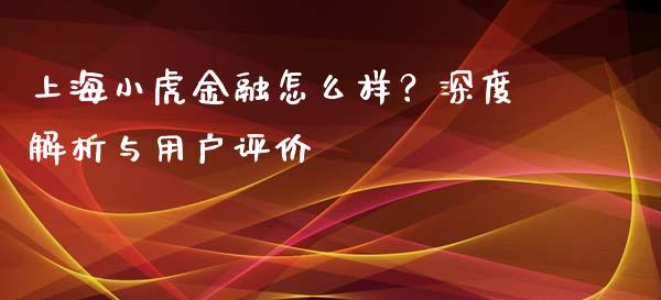 上海小虎金融怎么样？深度解析与用户评价_https://m.kuaijiepai.net_资产证券化_第1张