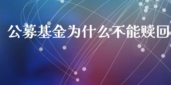 公募基金为什么不能赎回_https://m.kuaijiepai.net_股票交易_第1张