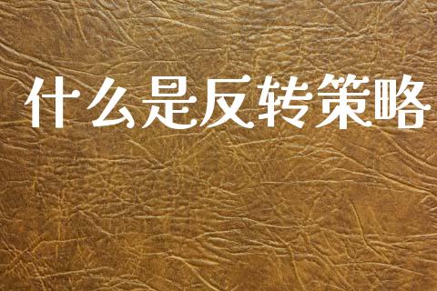 什么是反转策略_https://m.kuaijiepai.net_股票交易_第1张