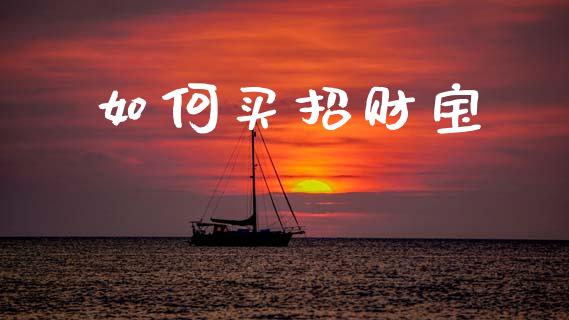 如何买招财宝_https://m.kuaijiepai.net_资产证券化_第1张
