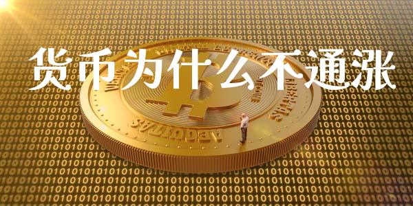 货币为什么不通涨_https://m.kuaijiepai.net_资产证券化_第1张