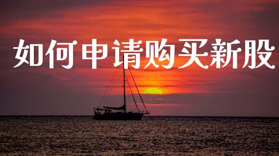 如何申请购买新股_https://m.kuaijiepai.net_债券投资_第1张