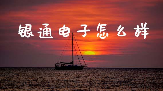 银通电子怎么样_https://m.kuaijiepai.net_资产证券化_第1张