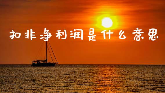 扣非净利润是什么意思_债券投资_第1张_货币基金_债券投资_股票交易_资产证券化 扣非净利润是什么意思_https://m.kuaijiepai.net_债券投资_第1张