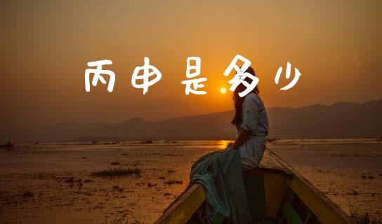 丙申是多少_资产证券化_第1张_货币基金_债券投资_股票交易_资产证券化 丙申是多少_https://m.kuaijiepai.net_资产证券化_第1张
