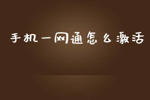 手机一网通怎么激活_https://m.kuaijiepai.net_债券投资_第1张