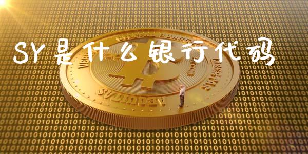 SY是什么银行代码_https://m.kuaijiepai.net_货币基金_第1张