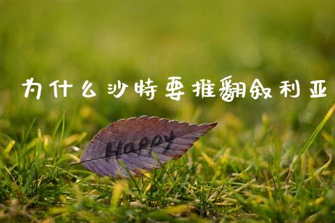 为什么沙特要推翻叙利亚_https://m.kuaijiepai.net_货币基金_第1张