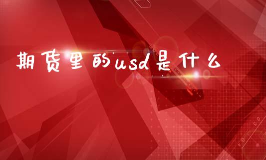 期货里的usd是什么_https://m.kuaijiepai.net_货币基金_第1张
