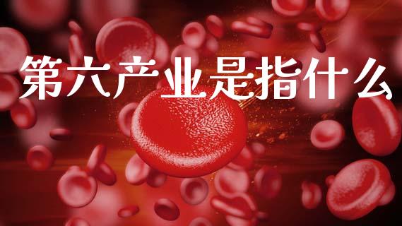 第六产业是指什么_https://m.kuaijiepai.net_资产证券化_第1张