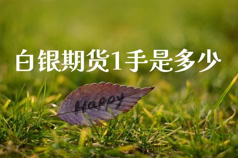 白银期货1手是多少_https://m.kuaijiepai.net_股票交易_第1张