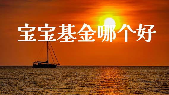 宝宝基金哪个好_https://m.kuaijiepai.net_资产证券化_第1张