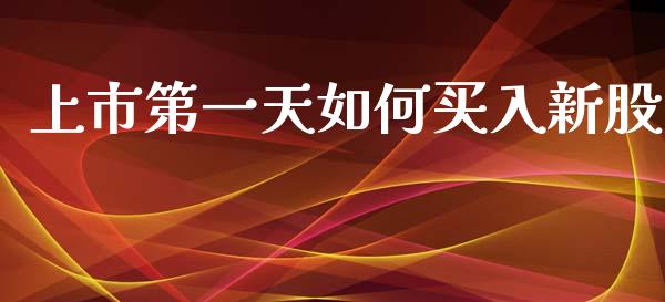 上市第一天如何买入新股_https://m.kuaijiepai.net_资产证券化_第1张