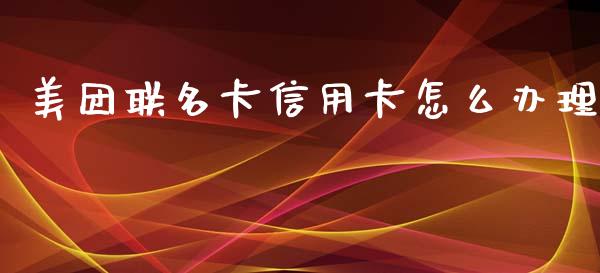 美团联名卡信用卡怎么办理_https://m.kuaijiepai.net_股票交易_第1张