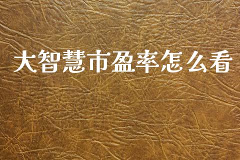 大智慧市盈率怎么看_https://m.kuaijiepai.net_股票交易_第1张