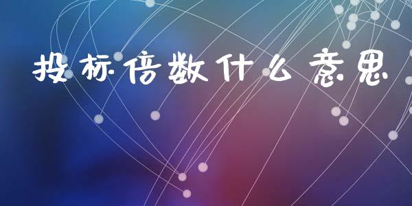投标倍数什么意思_https://m.kuaijiepai.net_货币基金_第1张