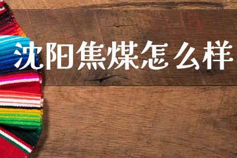 沈阳焦煤怎么样_https://m.kuaijiepai.net_货币基金_第1张