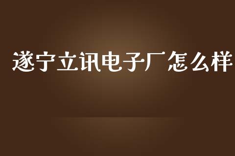 遂宁立讯电子厂怎么样_https://m.kuaijiepai.net_股票交易_第1张