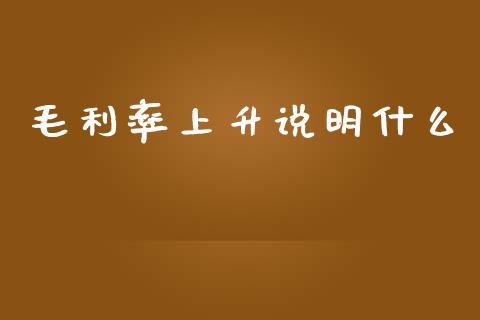 毛利率上升说明什么_https://m.kuaijiepai.net_资产证券化_第1张