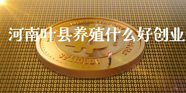 河南叶县养殖什么好创业_https://m.kuaijiepai.net_资产证券化_第1张