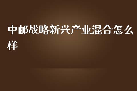 中邮战略新兴产业混合怎么样_https://m.kuaijiepai.net_债券投资_第1张
