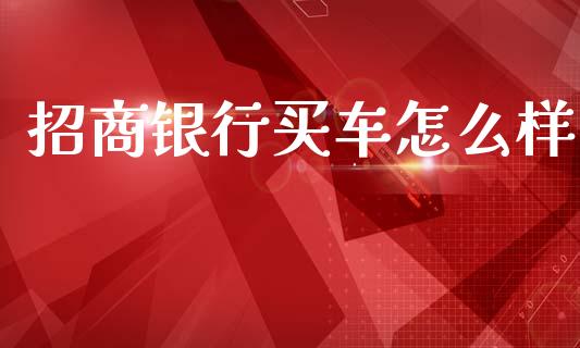 招商银行买车怎么样_https://m.kuaijiepai.net_货币基金_第1张