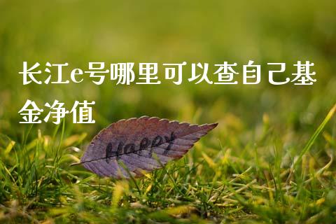 长江e号哪里可以查自己基金净值_https://m.kuaijiepai.net_债券投资_第1张